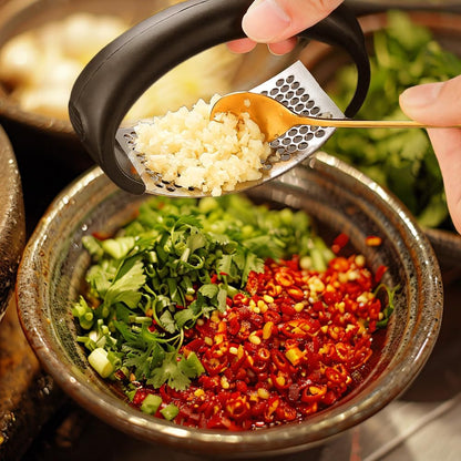 Stainless Steel Garlic Press for Kitchen